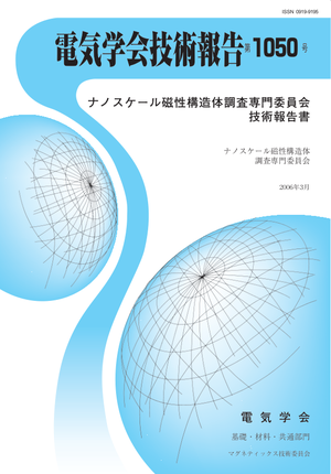 ナノスケール磁性構造体調査専門委員会技術報告書
