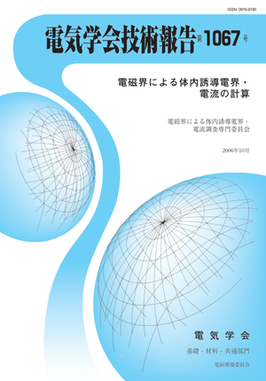 電磁界による体内誘導電界・電流の計算