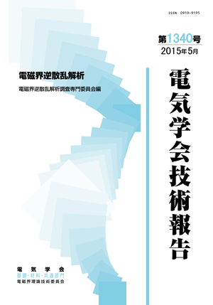 電磁界逆散乱解析