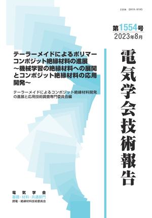 テーラーメイドによるポリマーコンポジット絶縁材料の進展
～機械学習の絶縁材料への展開とコンポジット絶縁材料の応用開発～